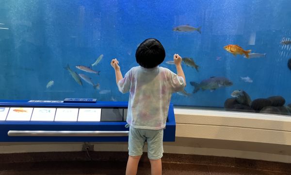 🐟夏休みの外出活動🐟