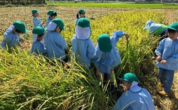 給食だより　11月